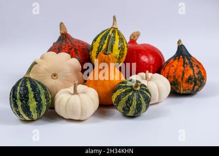 Kürbisse und Patisson in verschiedenen Farben und ausgefallenen Formen auf Weiß. Kürbisse für Halloween. Stockfoto