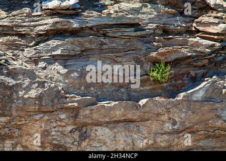 Geologische Formationen auf den Bergen von İda.Stein- oder Felsenausbau von Bergen. Edremit, Balıkesir, TÜRKEI Stockfoto