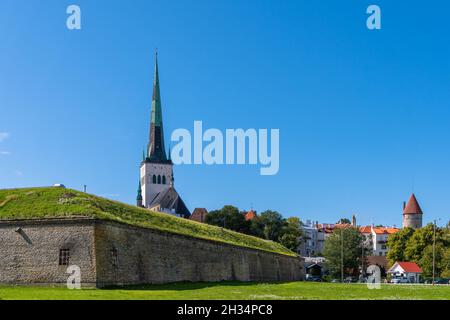 Tallinn Hauptstadt von Estland im Sommer 2021 Stockfoto