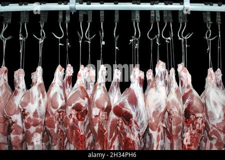 Schweinefleisch an Haken in einer Metzgerei auf schwarzem Hintergrund aufgehängt. Stockfoto