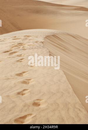 Fußabdrücke in einem Wüstensand in der Namib-Wüste, Namibia Stockfoto