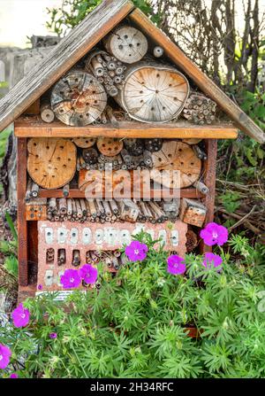 Blumen vor einem Insektenhaus in einem Garten Stockfoto