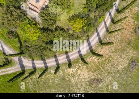 Luftbild einer Reihe von Zypressenbäumen entlang einer Straße in der Toskana, Italien, April. Stockfoto