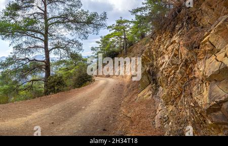 Serpentinische Schotterstraße, die durch das bewaldete Troodos-Gebirge der Insel Zypern führt Stockfoto