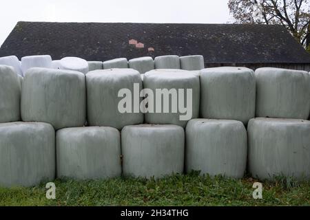 Polen - 23. Oktober 2020: Heu, Heulage in Kunststoffballen Stockfoto