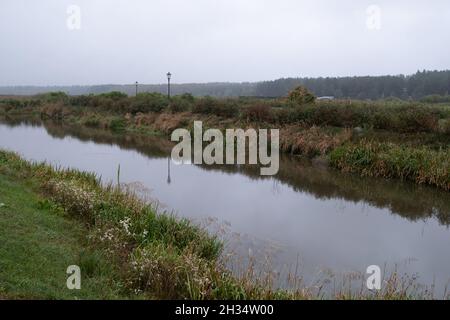 Podlasie, Polen - 20. Oktober 2020: Landschaft des polnischen Podlasie Stockfoto