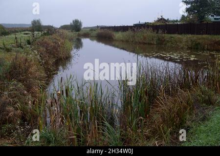 Podlasie, Polen - 20. Oktober 2020: Landschaft des polnischen Podlasie Stockfoto