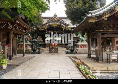 Der Toyokawa Inari Betsuin Tempel in Asakusa, Tokio, Japan. Der buddhistische Tempel ist Teil der Soto Zen-Sekte und beherbergt die Gottheit Toyokawa Dakinishinten, aber auch bekannt für die Tausenden von Inari Kitsune- oder Fuchsgöttin-Statuen. Stockfoto