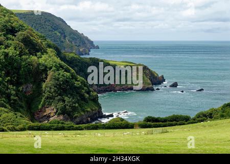 Lee Bay und Crock Point mit Woody Bay und Wringapeak Beyond, von Lee Abbey in der Nähe von Lynmouth, Exmoor, Devon, Großbritannien Stockfoto