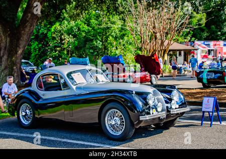 Ein Jaguar XK 120 aus dem Jahr 1951 wird beim 31. British Car Festival am 24. Oktober 2021 in Fairhope, Alabama, gezeigt. Stockfoto