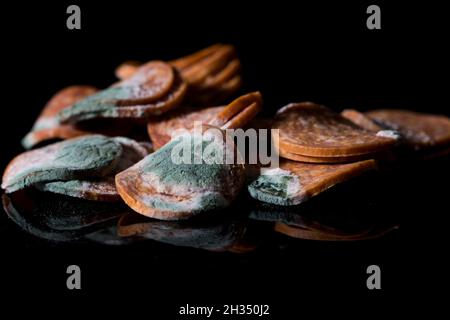 Schimmeliges Fleisch aus nächster Nähe verdorbenen grünen Schimmel auf dem Essen. Verfaulte, von Pilzen befallene Nahrung. Fleisch mit Schimmel. Stockfoto