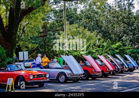 Auf dem 31. Jährlichen British Car Festival am 24. Oktober 2021 in Fairhope, Alabama, werden Jahrgangstrio gezeigt. Triumph Motor Company wurde 1885 gegründet. Stockfoto