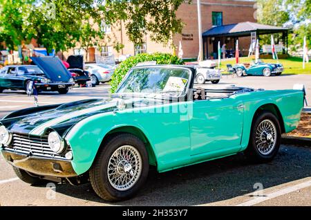 Ein Vintage 1961 Triumph TR4 wird beim 31. Jährlichen British Car Festival am 24. Oktober 2021 in Fairhope, Alabama, gezeigt. Stockfoto