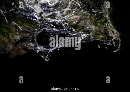 Weißes Spinnennetz in Lichtstrahlen hängt an der Decke in einer dunklen Höhle. Konzept von Halloween und Falle. Stockfoto