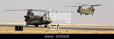 Zwei CH-47 Chinook-Hubschrauber der Bravo Company, 1. Bataillon, 171. Aviation Regiment, landen auf der Start- und Landebahn im Camp Buehring, Kuwait. Stockfoto