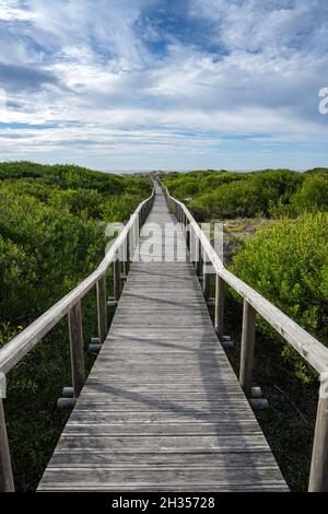 Holzweg führt zum Strand durch die Sanddünen des Naturreservats Sao Jacinto, Aveiro, Portugal. Stockfoto