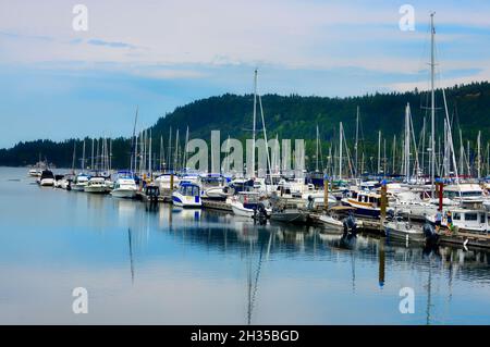 Die Boote vertäuten an der Marina in Ladysmith auf Vancouver Island British Columbia, Kanada Stockfoto