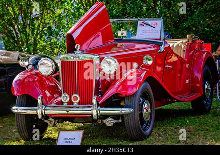 Ein 1952 MG TD Mark II wird beim 31. Jährlichen British Car Festival am 24. Oktober 2021 in Fairhope, Alabama, ausgestellt. Stockfoto