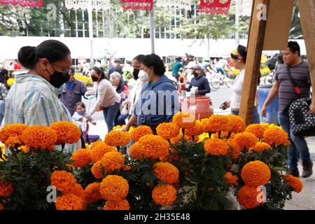 Nicht exklusiv: Eine Person, die als Schädel auf dem Blumenmarkt von Cempasuchil verkleidet ist, und Dekorationen auf der Reforma Avenue im Rahmen der Feierlichkeiten zum Tag der Toten. Stockfoto