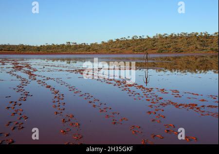 Lake Ballard Salzsee, in der Regel trocken, aber hier nass und zeigt Fußabdrücke, und eine der Statuen von Antony Gormley in Westaustralien installiert Stockfoto