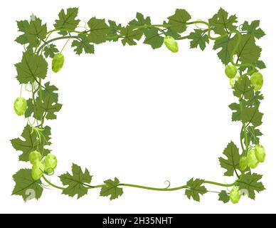 Rechteckiger Rahmen mit Hopfen. Ein Zweig mit dichten Blättern und Kegeln. Schlaffe Triebe mit Blättern. Wilde Natur. Flache Illustration mit Platz für Stock Vektor