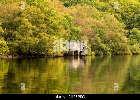 Reflexionen, die an einem frühen Herbsttag in Llyn Dinas, Gwynedd Snowdonia Wales, Großbritannien, festgehalten wurden Stockfoto