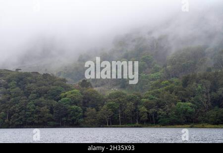 Niedrig liegender Nebel rund um Llyn Gwynant im Gwynant Valley, Snowdonia National Park, Wales, Großbritannien Stockfoto