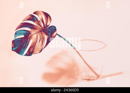 Kreativ, bunt von Bronze mit Blau, tropischen Palmen monstera Blatt in transparentem Glas Vase und ihren Schatten auf trendigen rosa Hintergrund. Exotische trendy s Stockfoto