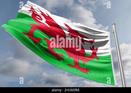 regierung des vereinigten Königreichs die rote Libelle Großbritannien walisisch Stockfoto