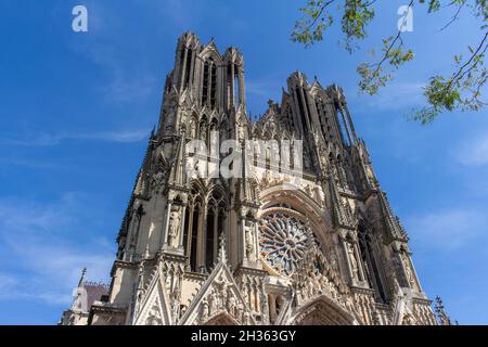 Landschaftsansicht der prunkvollen Kathedrale Notre-Dame de Reims in Frankreich, mit Bäumen im Vordergrund Stockfoto