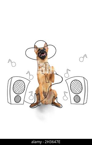 Bildmaterial. Ein niedlicher Hund in der Rasse Bild von Pop-Sänger isoliert auf weißem Studio-Hintergrund mit Zeichnungen. Stockfoto