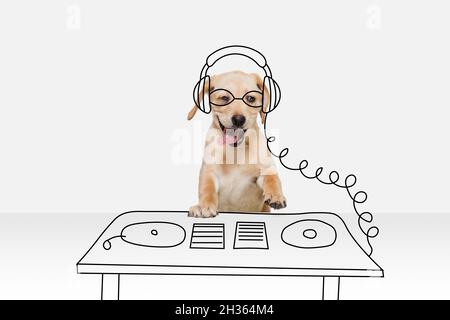 Bildmaterial. Ein niedlicher Hund in der Rasse Bild von Disco dj isoliert auf weißem Studio-Hintergrund mit Zeichnungen. Foto und Illustration mischen Stockfoto