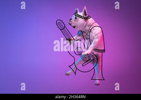 Bildmaterial. Ein süßer kleiner Hund, Bulldogge spielt Gitarre isoliert auf gradienten neonrosa blauen Studio-Hintergrund mit Zeichnungen. Stockfoto