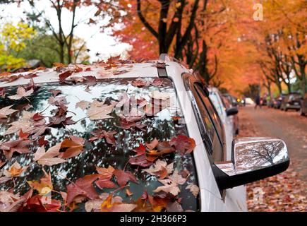 Gefallen rote Ahornblätter auf einem Auto in einer Vancouver Straße mit bunten Ahornbäumen im Herbst. Herbst in Vancouver, BC, Kanada Stockfoto