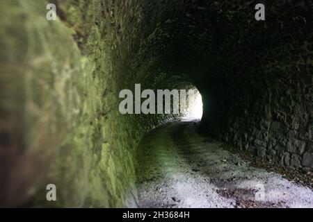 Hunedoara, Rumänien, 6. September 2009: Eine verlassene Dampf Zugtunnel in den Bergen von Hunedoara. Stockfoto