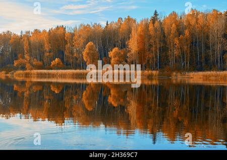 Herbstlandschaft. Der Mischwald spiegelt sich im Wasser des Sees wider. Stockfoto