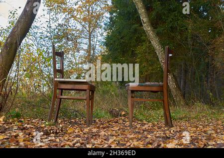 Zwei alte Holzstühle stehen einander auf einer Lichtung im Wald gegenüber Stockfoto