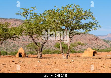 2 runde Tonhütten des Himba-Stammes unter 2 Bäumen. Kleines Dorf Himba in der Region Kunene. Kunene Region, Kaokoland, Namibia, Afrika Stockfoto