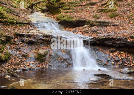 Ein Herbstmorgen am Parfrey's Glen Waterfall in Sauk County, WI in der Nähe des Devil's Lake State Park Stockfoto