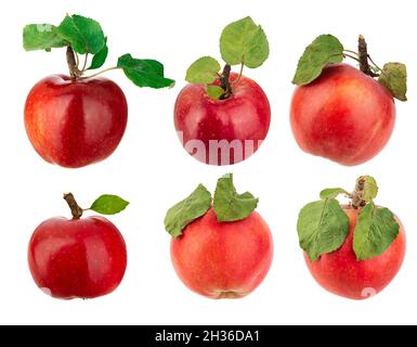Set frisch gepflückter roter Äpfel mit Blättern Stockfoto