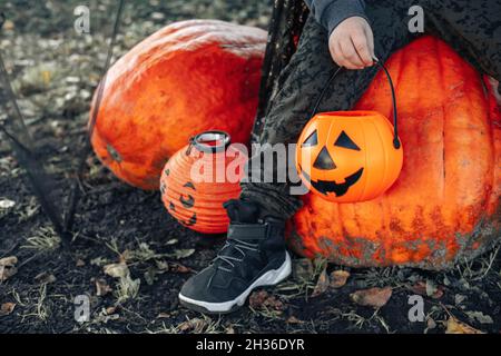 Halloween Kinder. Ein Korb mit Jack O Lantern Schokolade im Hintergrund von riesigen hässlichen Kürbissen in den Händen eines Kindes. Niedlicher kleiner Junge, Kind trägt Stockfoto