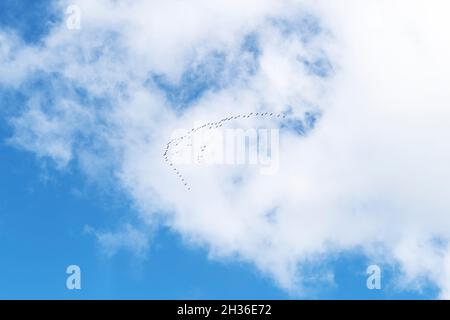 Blauer Himmel mit weißen Wolken. Blauer Hintergrund mit Wolken Stockfoto