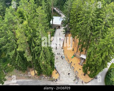 LIPNO, TSCHECHISCHE REPUBLIK - 04. Jul 2021: Eine Aufnahme eines Baumwipfelpfades in Lipno, Tschechische Republik. Stockfoto