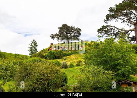 Matamata, Nordinsel, Neuseeland: Haus Bilbo. Die berühmte Eiche in Hobbiton. Stockfoto