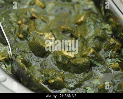 KALKUTTA, INDIEN - 18. Sep 2021: Nahaufnahme traditionelle hausgemachte Küche Palak Paneer oder Spinat-Hüttenkäse. Palak Paneer isoliert, indische Baumwolle Stockfoto