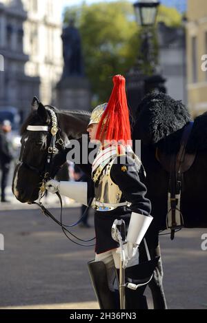 London, England, Großbritannien. Mitglied der Blues & Royals, Household Cavalry, bei der Horse Guards Parade während des morgendlichen Wachwechsels Stockfoto