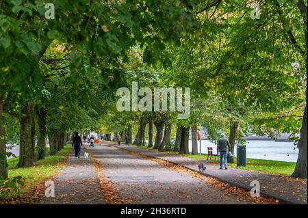 Cork, Irland. Oktober 2021. An einem luftigen, aber warmen Tag laufen die Leute unter einem goldenen Laubdach entlang der Fußgängerzone in Cork. Quelle: AG News/Alamy Live News Stockfoto