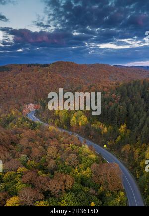 Luftaufnahme zu einer Straße im Wald. Strandja, Bulgarien Stockfoto