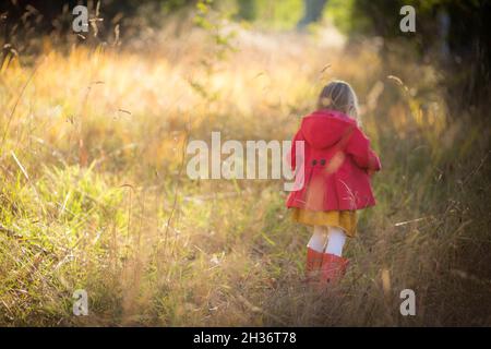 Künstlerisches Bild eines kleinen Mädchens in einer leuchtend roten Jacke und Stiefeln im Busch am kalten Wintermorgen Stockfoto