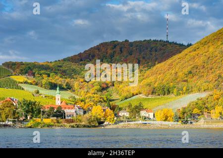 Wien, Wien: Donau, Kirche und Weiler Kahlenbergerdorf, Berg Kahlenberg, Blick von der Donauinsel im Jahr 19. Döbling, Wien, Österreich Stockfoto